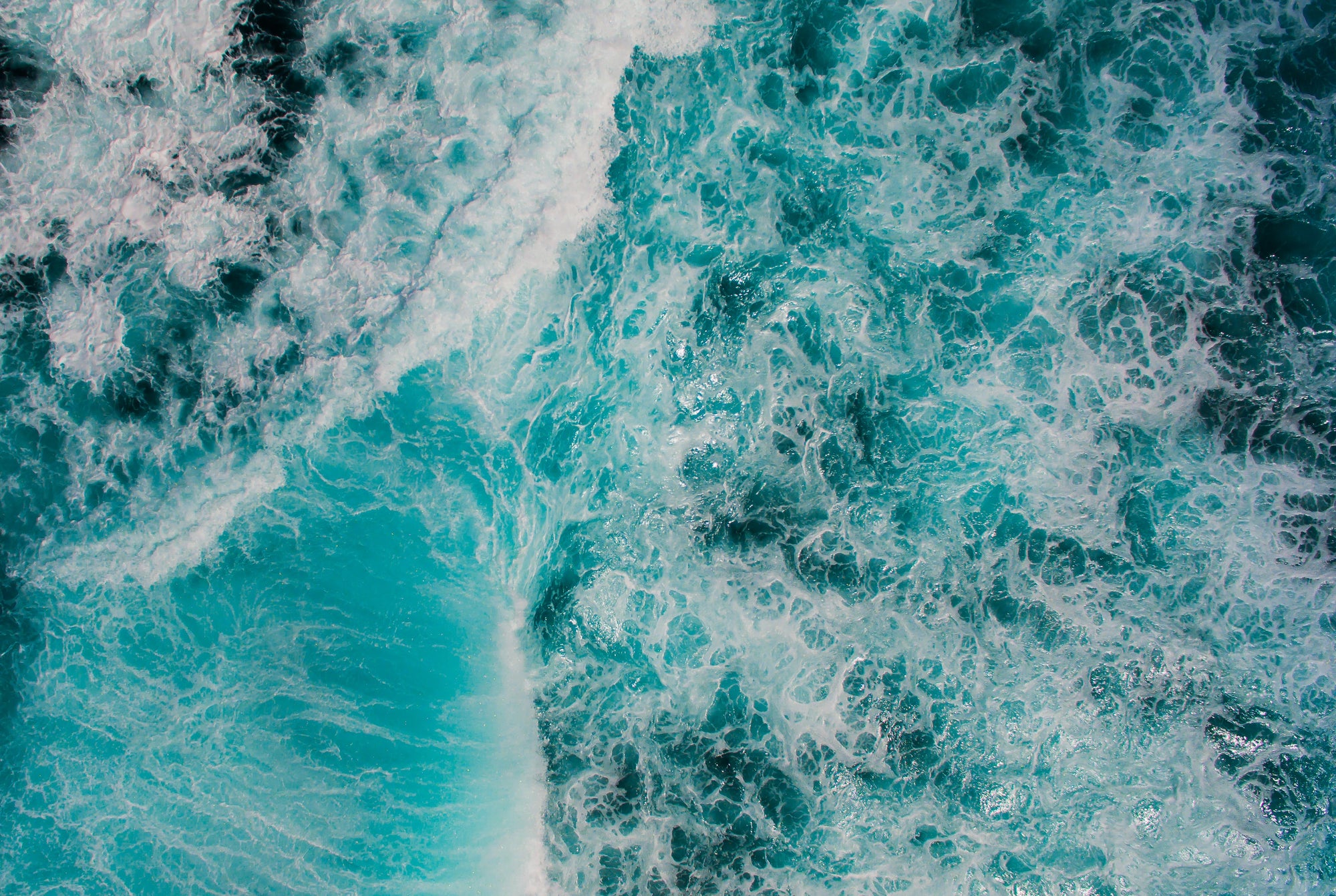 World Ocean Day 2023
