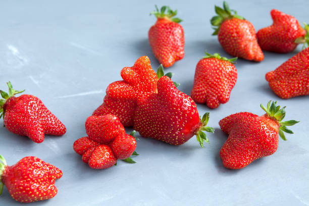 Why you should buy ugly fruit and vegetables